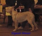 Filename=W Minuet.jpg
Filesize=9KiB
Dimensions=290x250
Date added=Sep 13, 2009 W Minuet.jpg