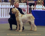 Filename=A Nigel.jpg
Filesize=51KiB
Dimensions=550x434
Date added=Sep 13, 2009 A Nigel.jpg