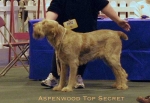 Filename=A TopSecret.jpg
Filesize=45KiB
Dimensions=550x378
Date added=Sep 13, 2009 A TopSecret.jpg