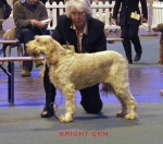 Filename=B Gem.jpg
Filesize=54KiB
Dimensions=500x441
Date added=Sep 13, 2009 B Gem.jpg