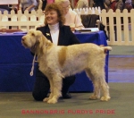Filename=B PurdysPride.jpg
Filesize=42KiB
Dimensions=500x443
Date added=Sep 13, 2009 B PurdysPride.jpg