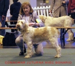 Filename=C Juturna.jpg
Filesize=53KiB
Dimensions=500x443
Date added=Sep 13, 2009 C Juturna.jpg