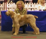 Filename=F Leonardo.jpg
Filesize=47KiB
Dimensions=500x427
Date added=Sep 13, 2009 F Leonardo.jpg