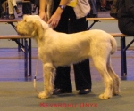 Filename=K Unyk.jpg
Filesize=48KiB
Dimensions=483x405
Date added=Sep 13, 2009 K Unyk.jpg