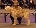 Filename=W Mistero.jpg
Filesize=51KiB
Dimensions=500x400
Date added=Sep 13, 2009 W Mistero.jpg