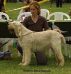 Filename=B Dama.jpg
Filesize=59KiB
Dimensions=600x618
Date added=Sep 13, 2009 B Dama.jpg