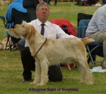 Filename=A Nigel.jpg
Filesize=54KiB
Dimensions=600x529
Date added=Sep 13, 2009 A Nigel.jpg