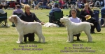 Filename=BD BB.JPG
Filesize=48KiB
Dimensions=600x312
Date added=Sep 13, 2009 BD BB.JPG