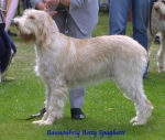 Filename=B Betty.JPG
Filesize=55KiB
Dimensions=600x511
Date added=Sep 13, 2009 B Betty.JPG
