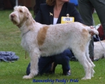 Filename=B PurdysPride.JPG
Filesize=48KiB
Dimensions=600x484
Date added=Sep 13, 2009 B PurdysPride.JPG
