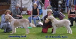 Filename=BD BB.JPG
Filesize=82KiB
Dimensions=800x420
Date added=Sep 13, 2009 BD BB.JPG
