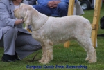 Dateiname=G Gussie.JPG
Dateigröße=44KB
Abmessungen: 600x409
hinzugefügt am: 13. September 2009 G Gussie.JPG