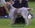Dateiname=H LeadingLady.JPG
Dateigröße=52KB
Abmessungen: 600x485
hinzugefügt am: 13. September 2009 H LeadingLady.JPG