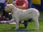 Dateiname=K Afyna.JPG
Dateigröße=53KB
Abmessungen: 600x449
hinzugefügt am: 13. September 2009 K Afyna.JPG