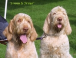 Filename=Lenny Freya.jpg
Filesize=52KiB
Dimensions=600x457
Date added=Sep 13, 2009 Lenny Freya.jpg
