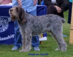 Filename=S Apache.JPG
Filesize=56KiB
Dimensions=600x466
Date added=Sep 13, 2009 S Apache.JPG
