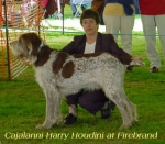 Filename=C HarryHoudini.jpg
Filesize=19KiB
Dimensions=325x284
Date added=Sep 13, 2009 C HarryHoudini.jpg