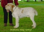 Filename=H KingArthur.jpg
Filesize=13KiB
Dimensions=344x248
Date added=Sep 13, 2009 H KingArthur.jpg