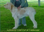 Filename=L ColdCut.jpg
Filesize=15KiB
Dimensions=353x255
Date added=Sep 13, 2009 L ColdCut.jpg