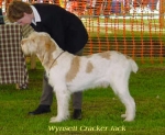 Filename=W CrackerJack.jpg
Filesize=24KiB
Dimensions=375x309
Date added=Sep 13, 2009 W CrackerJack.jpg