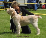 Filename=R Caprice.jpg
Filesize=57KiB
Dimensions=500x415
Date added=Sep 13, 2009 R Caprice.jpg
