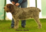 Filename=S Apache.jpg
Filesize=43KiB
Dimensions=500x352
Date added=Sep 13, 2009 S Apache.jpg