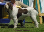 Filename=T Tuppence.jpg
Filesize=45KiB
Dimensions=500x371
Date added=Sep 13, 2009 T Tuppence.jpg