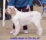 Filename=G Magic.jpg
Filesize=36KiB
Dimensions=390x343
Date added=Sep 13, 2009 G Magic.jpg
