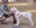 Filename=G Star Turn.jpg
Filesize=55KiB
Dimensions=550x438
Date added=Sep 13, 2009 G Star Turn.jpg