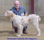 Filename=M Isabella.jpg
Filesize=41KiB
Dimensions=424x390
Date added=Sep 13, 2009 M Isabella.jpg