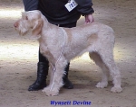 Filename=W Devine.jpg
Filesize=36KiB
Dimensions=447x357
Date added=Sep 13, 2009 W Devine.jpg