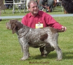 Filename=B Capello.jpg
Filesize=64KiB
Dimensions=467x419
Date added=Sep 13, 2009 B Capello.jpg