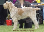 Filename=B Infidelity.jpg
Filesize=48KiB
Dimensions=471x348
Date added=Sep 13, 2009 B Infidelity.jpg