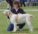 Filename=B PurdysPride.jpg
Filesize=43KiB
Dimensions=399x363
Date added=Sep 13, 2009 B PurdysPride.jpg