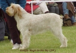Filename=G Magic.jpg
Filesize=43KiB
Dimensions=499x351
Date added=Sep 13, 2009 G Magic.jpg