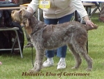 Filename=H Elsa.jpg
Filesize=28KiB
Dimensions=340x261
Date added=Sep 13, 2009 H Elsa.jpg