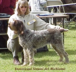 Filename=I Simoni.jpg
Filesize=49KiB
Dimensions=381x368
Date added=Sep 13, 2009 I Simoni.jpg