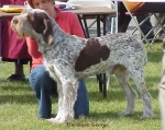 Filename=T George.jpg
Filesize=67KiB
Dimensions=522x415
Date added=Sep 13, 2009 T George.jpg