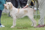 Filename=W Devine.jpg
Filesize=52KiB
Dimensions=525x355
Date added=Sep 13, 2009 W Devine.jpg