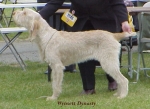 Filename=W Dynasty.jpg
Filesize=43KiB
Dimensions=503x367
Date added=Sep 13, 2009 W Dynasty.jpg