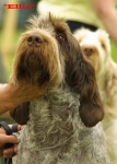 Filename=Ellie.jpg
Filesize=46KiB
Dimensions=400x559
Date added=Sep 13, 2009 Ellie.jpg