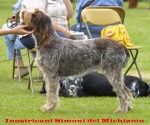 Dateiname=I Simoni.jpg
Dateigröße=53KB
Abmessungen: 600x501
hinzugefügt am: 13. September 2009 I Simoni.jpg