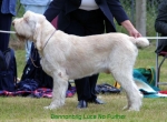 Filename=B-LucaNoFurther.jpg
Filesize=44KiB
Dimensions=550x405
Date added=Sep 14, 2009 B-LucaNoFurther.jpg