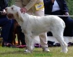 Filename=C-Noney.jpg
Filesize=44KiB
Dimensions=550x434
Date added=Sep 14, 2009 C-Noney.jpg