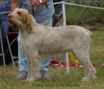 Filename=G-Magic.jpg
Filesize=52KiB
Dimensions=550x471
Date added=Sep 14, 2009 G-Magic.jpg