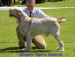 Filename=A Nigel.jpg
Filesize=69KiB
Dimensions=500x380
Date added=Sep 14, 2009 A Nigel.jpg