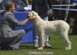 Filename=C Noney.jpg
Filesize=56KiB
Dimensions=500x361
Date added=Sep 14, 2009 C Noney.jpg