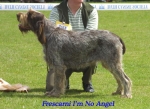 Filename=F IMNoAngel.jpg
Filesize=67KiB
Dimensions=500x364
Date added=Sep 14, 2009 F IMNoAngel.jpg