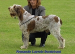 Filename=F Laerzio.jpg
Filesize=56KiB
Dimensions=500x365
Date added=Sep 14, 2009 F Laerzio.jpg