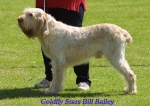 Filename=G StarsBillBailey.jpg
Filesize=65KiB
Dimensions=500x354
Date added=Sep 14, 2009 G StarsBillBailey.jpg